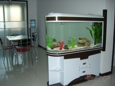 魚(yú)缸用增氧泵價(jià)格是多少:魚(yú)缸增氧機(jī)-xtrac增氧機(jī)-xtrac增氧機(jī) 山西大福文化用品有限公司(山西大福文化用品有限公司招聘) 全國(guó)水族館企業(yè)名錄 山西大福文化用品有限公司(山西大福文化用品有限公司招聘) 山西大福文化用品有限公司(山西大福文化用品有限公司招聘) 全國(guó)水族館企業(yè)名錄