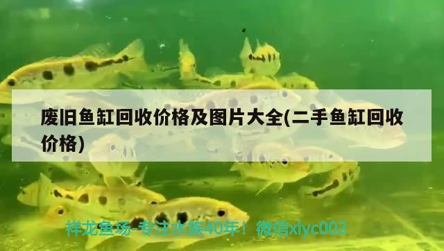 廢舊魚缸回收價格及圖片大全(二手魚缸回收價格)