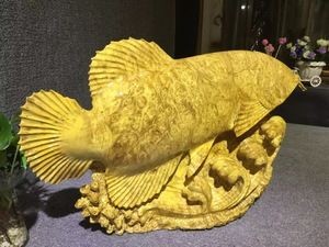 龍魚哪里買好又便宜又好吃：新埠島碼頭海鮮市場攻略紅龍魚養(yǎng)殖技巧分享