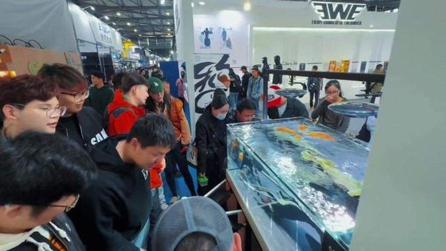 2024年漁具展有哪些新品發布？ 2024年漁具展有哪些新品發布？ 2025長城杯龍魚大賽 第4張