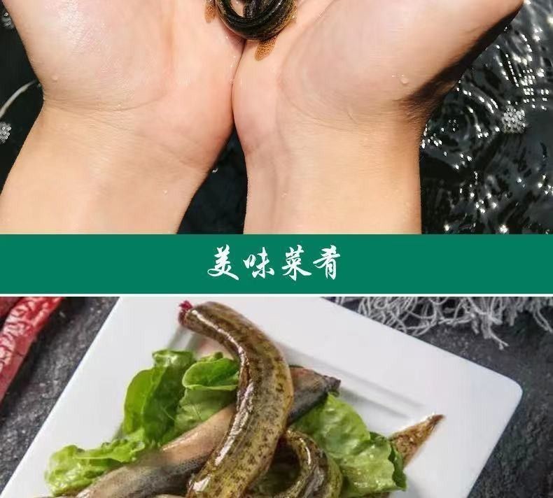 龍魚可以喂什么生肉好：龍魚作為肉食性魚類，可以喂食多種類型的生肉，以下幾種適合喂食