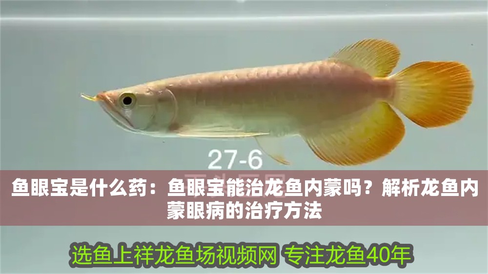 魚眼寶是什么藥：魚眼寶能治龍魚內蒙嗎？解析龍魚內蒙眼病的治療方法