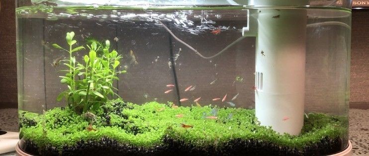 畫法幾何懶人魚缸使用說明：懶人魚缸使用說明