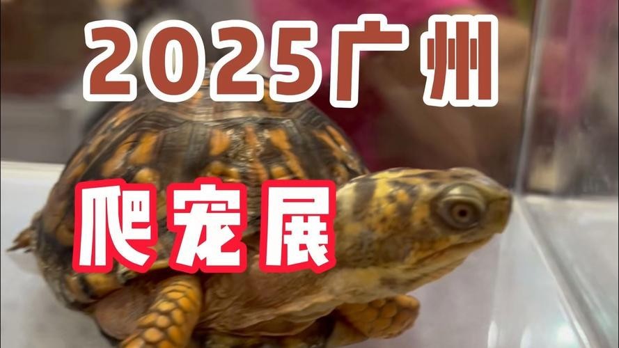 2025廣州國際寵物展會