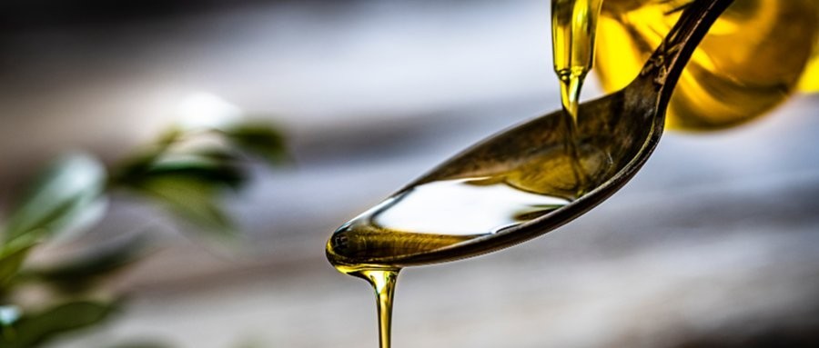 金龍魚高管薪酬如何？ 金龍魚高管薪酬如何？ 2025長城杯龍魚大賽 第6張