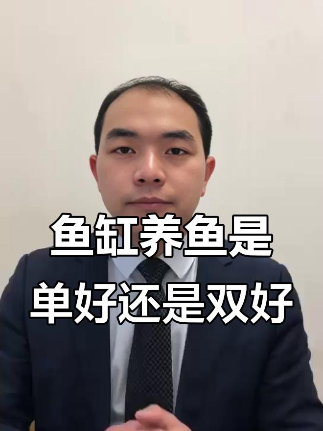 為什么養魚雙數是大忌