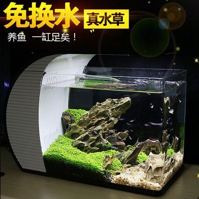 水草造景培訓學校哪家強：廣州魚缸造景培訓學校魚缸造景培訓學校魚缸造景培訓學習