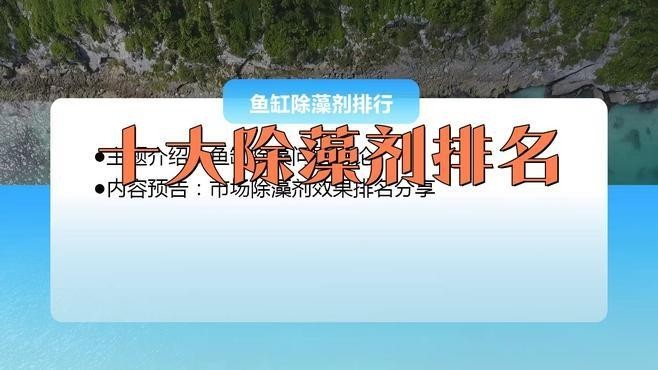 龍魚燈的清潔劑有哪些推薦