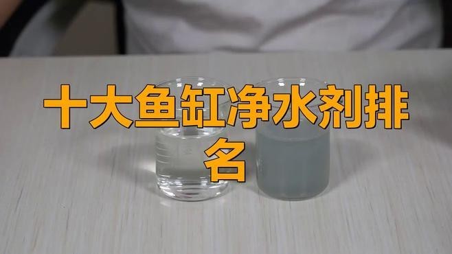 龍魚燈的清潔劑有哪些推薦
