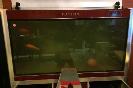 魚缸老水是什么樣的:關于魚缸老水的一些詳細信息 魚缸百科 第1張 魚缸老水是什么樣的:關于魚缸老水的一些詳細信息 魚缸老水是什么樣的:關于魚缸老水的一些詳細信息 魚缸百科 第1張