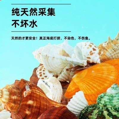 魚(yú)缸底砂鋪設(shè)后養(yǎng)護(hù)要點(diǎn)：魚(yú)缸底砂鋪設(shè)后需要注意的養(yǎng)護(hù)環(huán)節(jié)