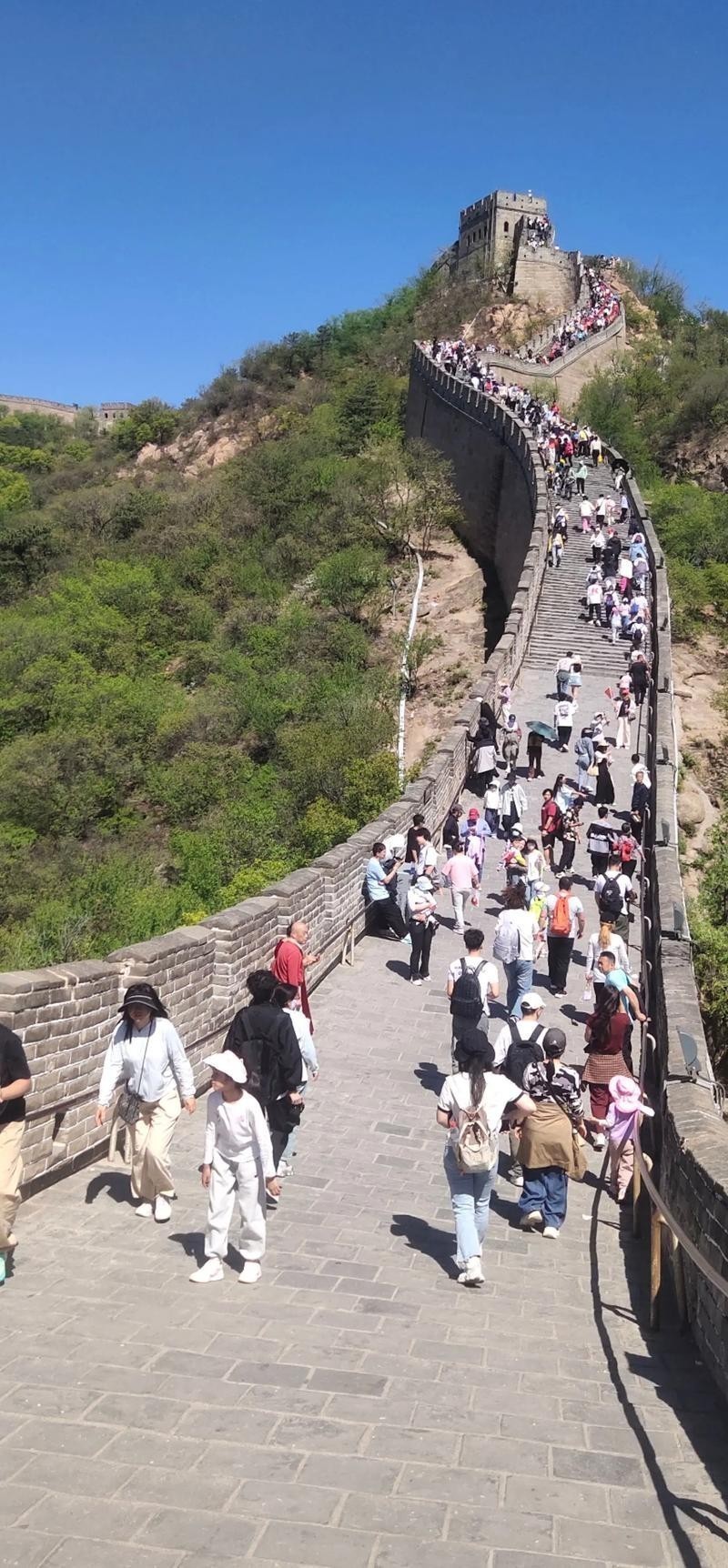 長城可以帶寵物進去嗎