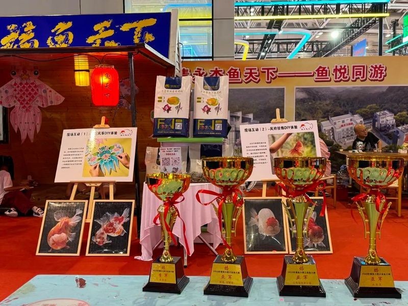 2025福魚大賽有哪些獲獎金魚 2025長城杯龍魚大賽 第9張 2025福魚大賽有哪些獲獎金魚 2025福魚大賽有哪些獲獎金魚 2025長城杯龍魚大賽 第9張