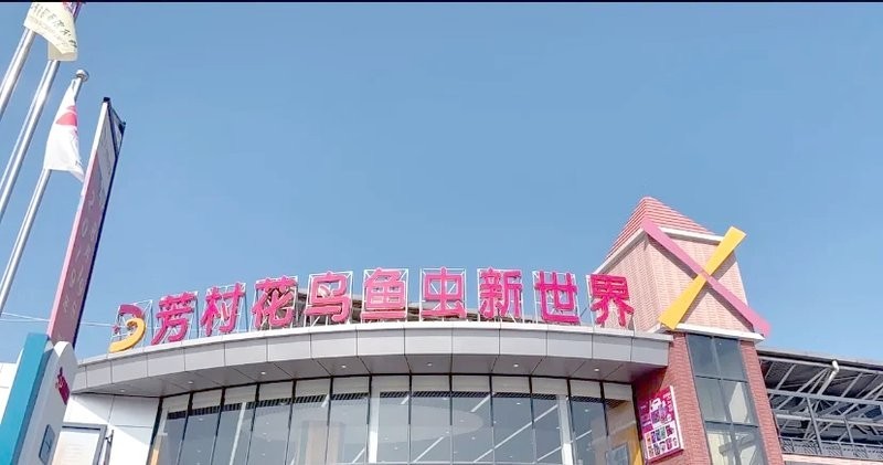 芳村龍魚批發市場的營業時間