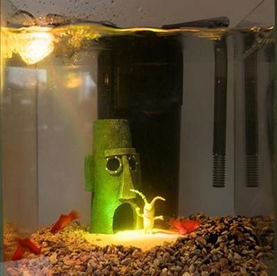 夜間魚缸照明對魚的影響：夜間照明對魚的影響 夜間魚缸照明對魚的影響：夜間照明對魚的影響 魚缸百科 第5張