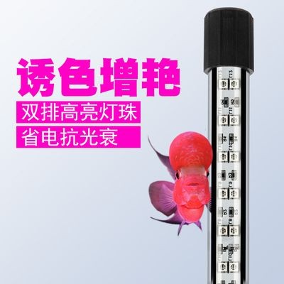 夜間魚缸照明對魚的影響：夜間照明對魚的影響 夜間魚缸照明對魚的影響：夜間照明對魚的影響 魚缸百科 第2張