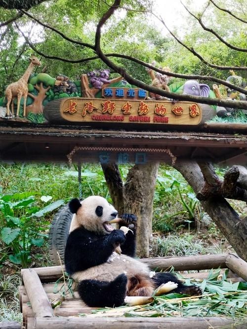 廣州長隆野生動(dòng)物園開放時(shí)間是？