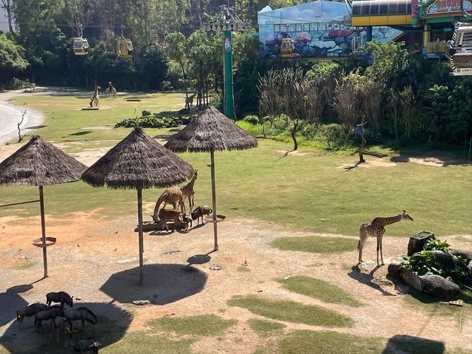 廣州長隆野生動(dòng)物園開放時(shí)間是？