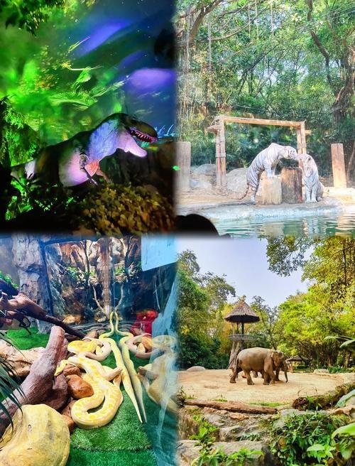 廣州長隆野生動(dòng)物園開放時(shí)間是？
