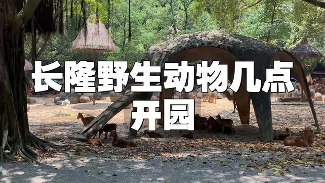 廣州長隆野生動(dòng)物園開放時(shí)間是？