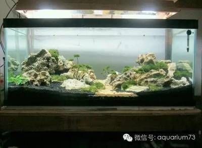 好魚缸有哪些標準（好魚缸有哪些標準選擇一個好的魚缸不僅關乎魚兒健康）