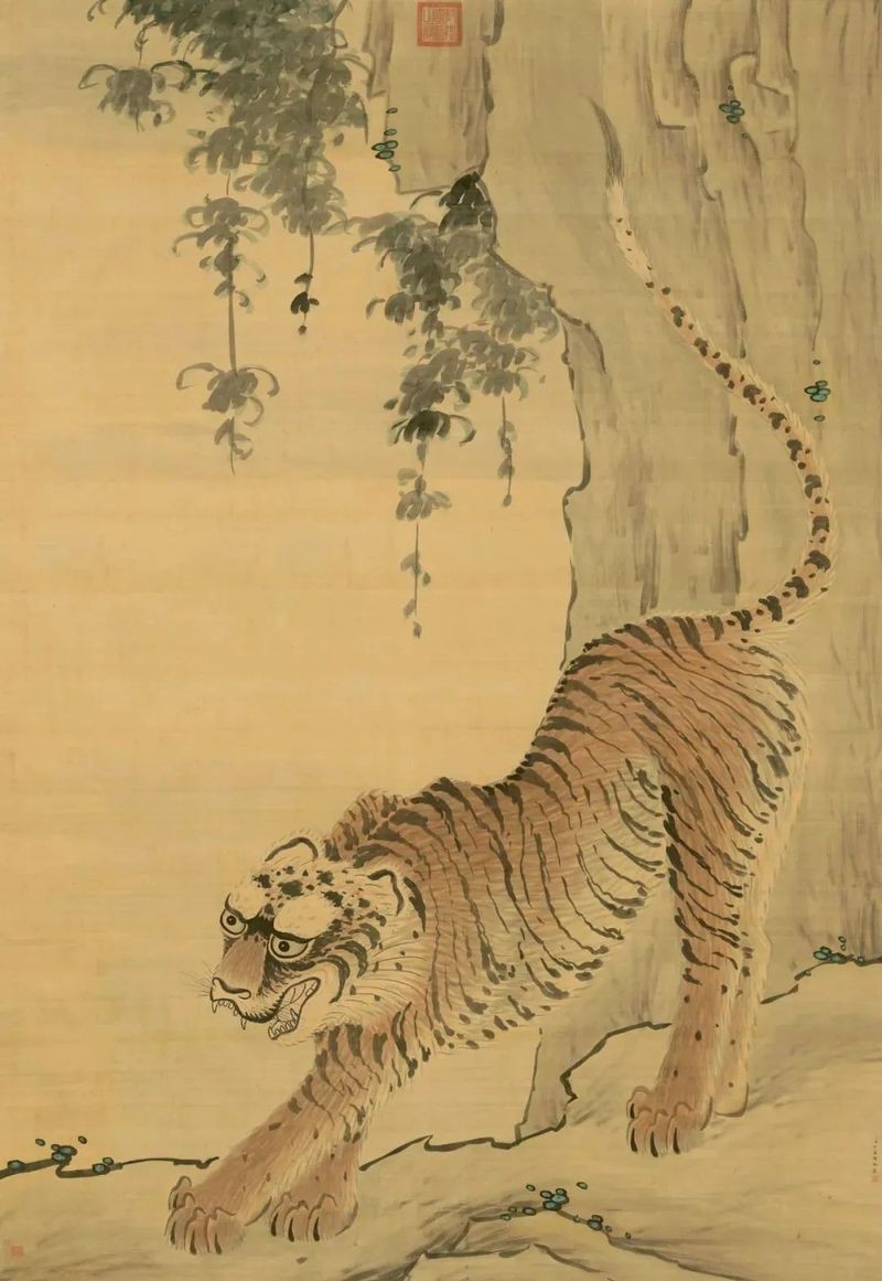 虎與七彩混養(yǎng)