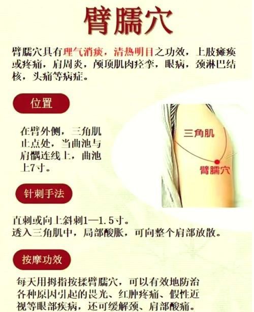 魟魚打針位置圖