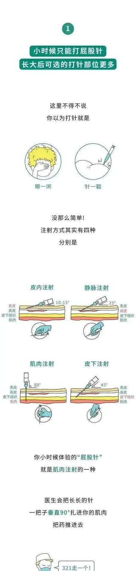 魟魚打針位置圖