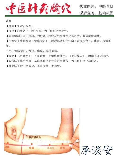 魟魚打針位置圖