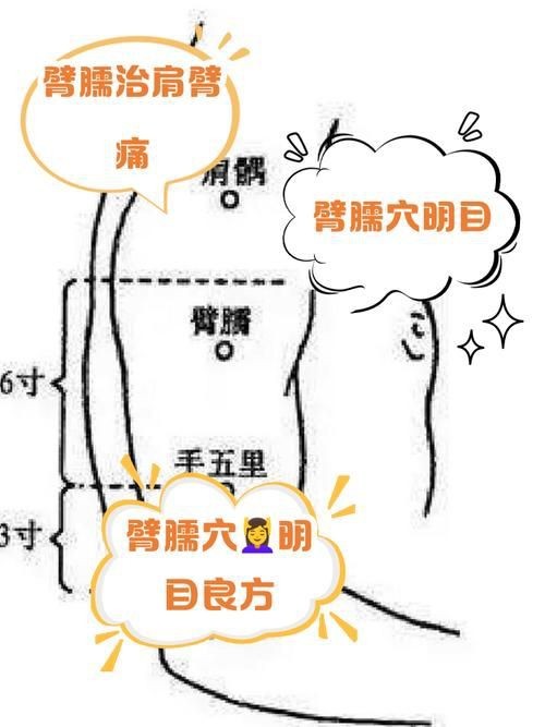 魟魚打針位置圖