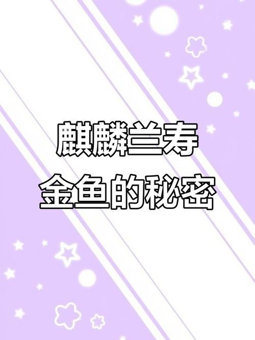 麒麟蘭壽金魚的價格是多少? 2025長城杯龍魚大賽 第5張 麒麟蘭壽金魚的價格是多少? 麒麟蘭壽金魚的價格是多少? 2025長城杯龍魚大賽 第5張