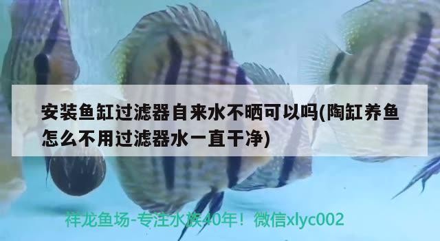 魚缸用增氧泵價格是多少:魚缸增氧機-xtrac增氧機-xtrac增氧機 安裝魚缸過濾器自來水不曬可以嗎(陶缸養(yǎng)魚怎么不用過濾器水一直干凈) 魚缸百科 安裝魚缸過濾器自來水不曬可以嗎(陶缸養(yǎng)魚怎么不用過濾器水一直干凈) 安裝魚缸過濾器自來水不曬可以嗎(陶缸養(yǎng)魚怎么不用過濾器水一直干凈) 魚缸百科