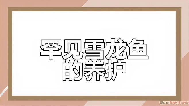 觀賞魚(yú)銀龍魚(yú)圖片大全