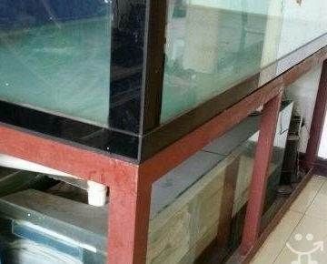 龍魚(yú)外寄的藥物選擇，治療龍魚(yú)外寄的具體步驟
