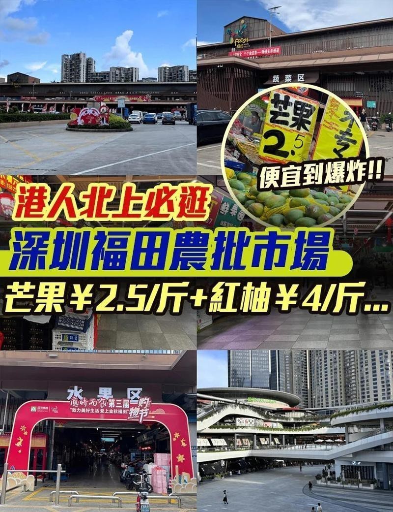 深圳最大觀賞魚市場