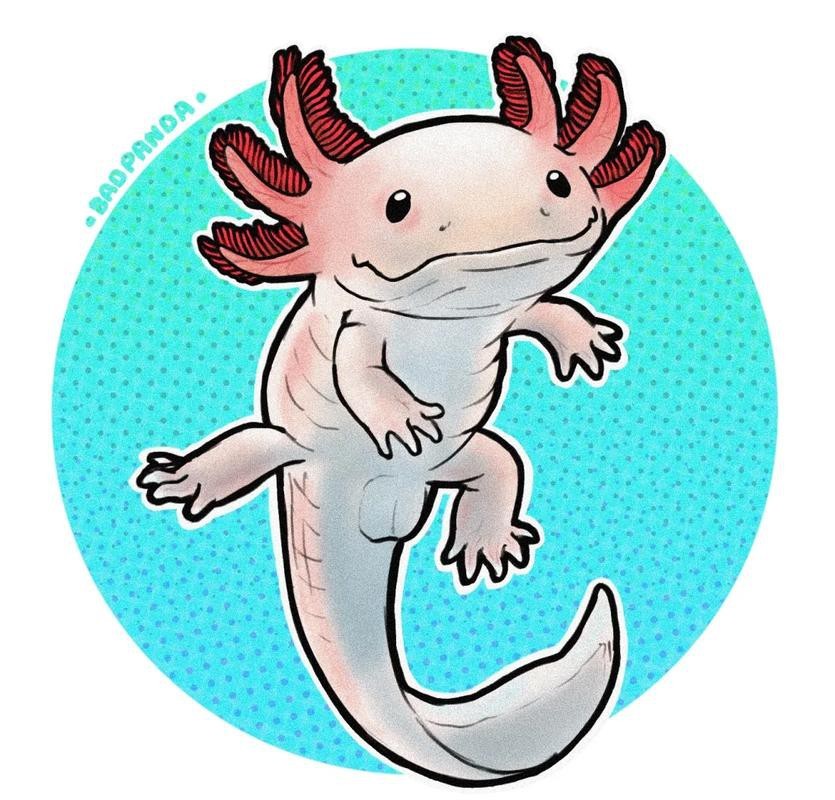 六角恐龍魚圖片大全大圖欣賞