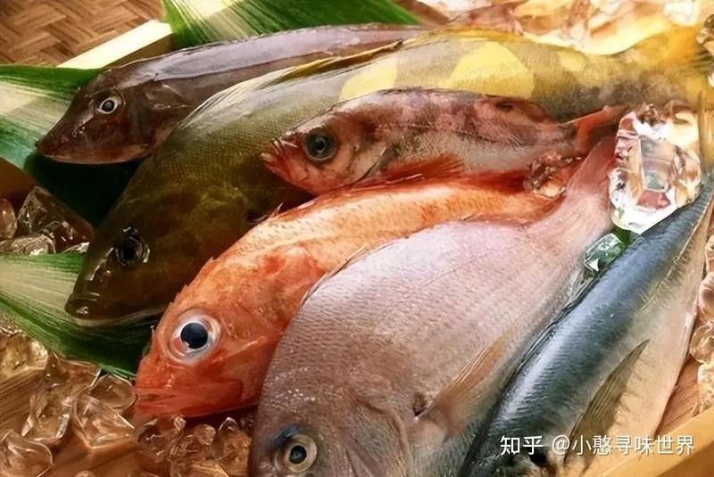 飛風(fēng)魚盡量少吃的原因