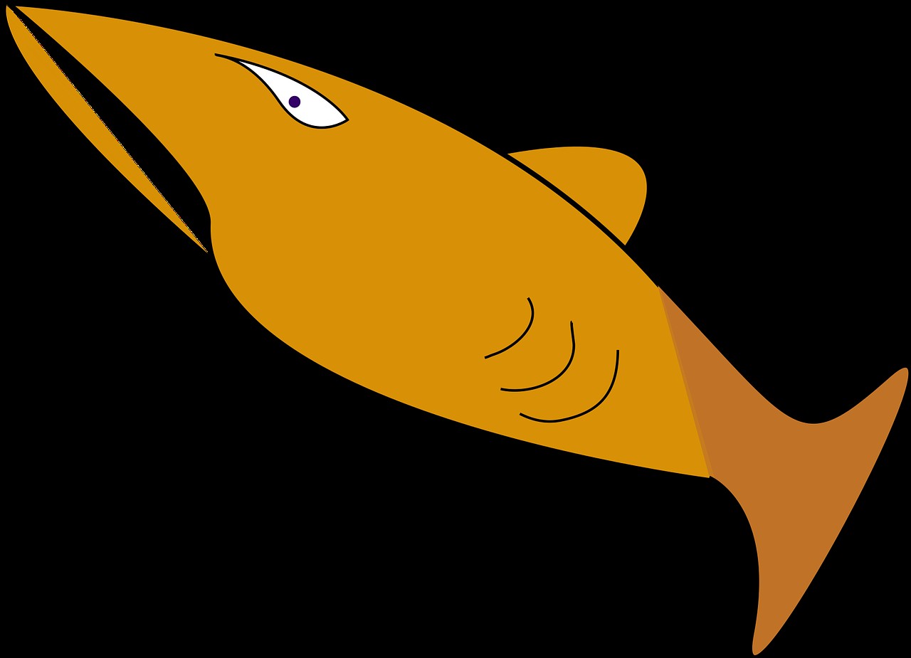 鯊魚logo圖片 龍魚論壇 第2張 鯊魚logo圖片 鯊魚logo圖片 龍魚論壇 第2張