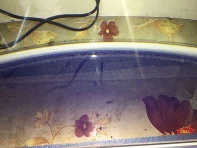 森森魚缸下面漏水怎么回事，森森魚缸漏水如何緊急修補魚缸底部不平時如何調整