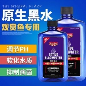 黑水素對紅龍魚的作用和功效是什么：如何自制黑水素改善魚缸環境，紅龍魚常見疾病的預防方法