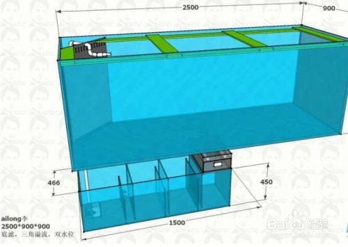 魚缸過濾系統的選購技巧：選購魚缸過濾系統的一些技巧