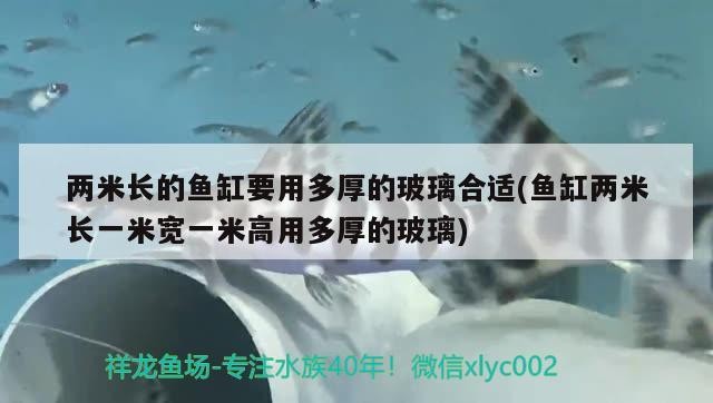 魚缸過濾器選購指南:自制魚缸過濾器魚缸上置過濾器對于養魚愛好者的必備知識 兩米長的魚缸要用多厚的玻璃合適(魚缸兩米長一米寬一米高用多厚的玻璃) 龍魚百科 兩米長的魚缸要用多厚的玻璃合適(魚缸兩米長一米寬一米高用多厚的玻璃) 兩米長的魚缸要用多厚的玻璃合適(魚缸兩米長一米寬一米高用多厚的玻璃) 龍魚百科