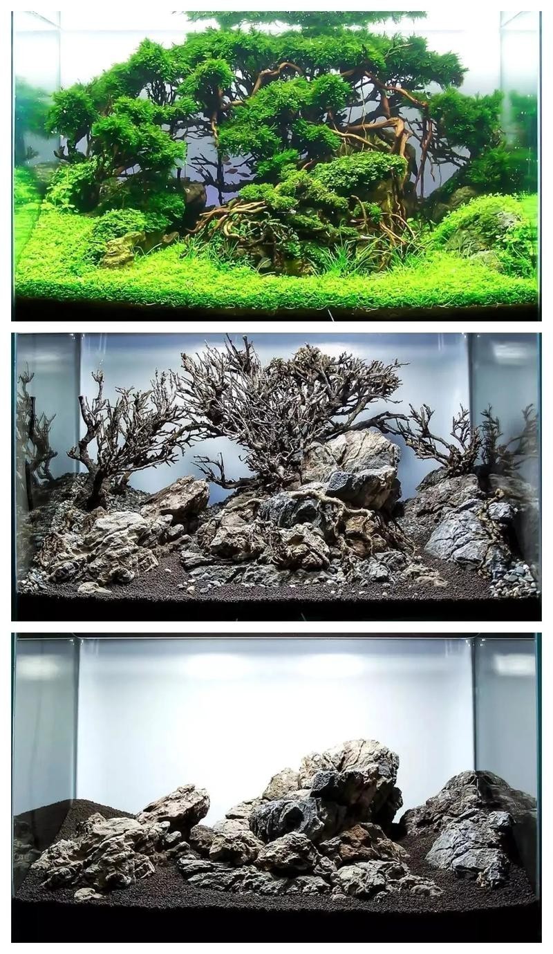 能提供更多60草缸造景圖嗎？
