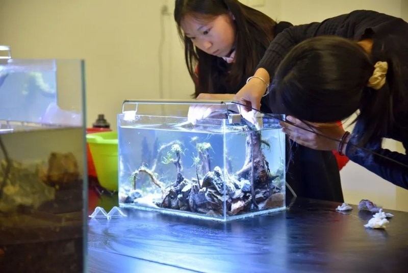 造景大賽的獲獎名單在哪里可以查到？