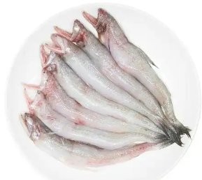 廣州萬(wàn)吉龍魚(yú)