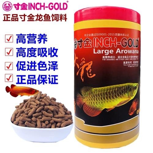 廣州萬(wàn)吉龍魚(yú)