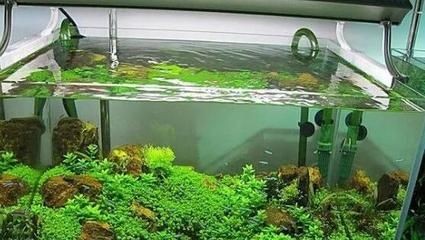 魚缸氧氣消耗的計算方法:魚缸氧氣消耗的計算 魚缸百科 第4張 魚缸氧氣消耗的計算方法:魚缸氧氣消耗的計算 魚缸氧氣消耗的計算方法:魚缸氧氣消耗的計算 魚缸百科 第4張