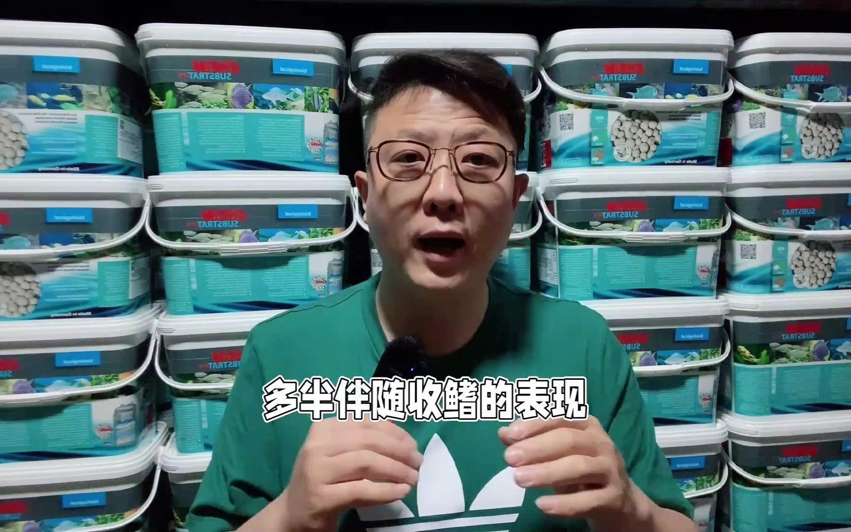紅龍魚不愛游動最簡單的恢復方法