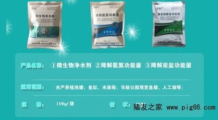 魚缸凈水劑如何使用：如何使用魚缸凈水劑