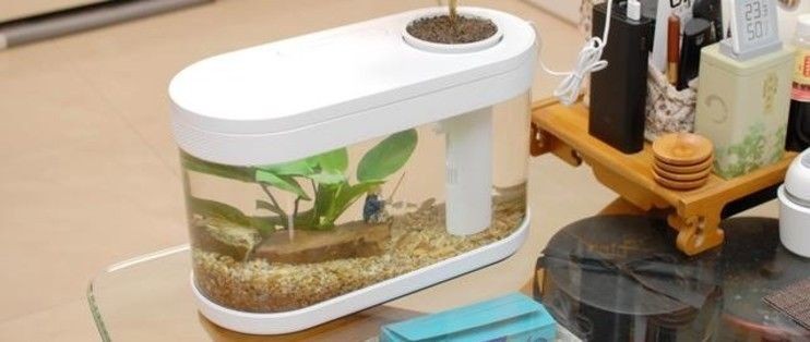 畫法幾何魚缸一代好還是二代好：畫法幾何魚缸一代和二代各有特點 畫法幾何魚缸一代好還是二代好：畫法幾何魚缸一代和二代各有特點 魚缸百科 第5張